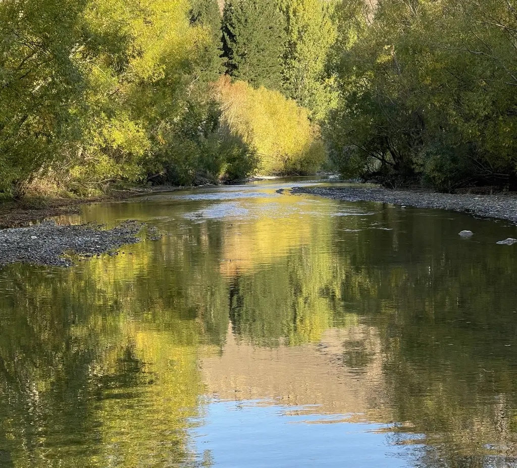 A shingle-bedded river winding between autumn willows