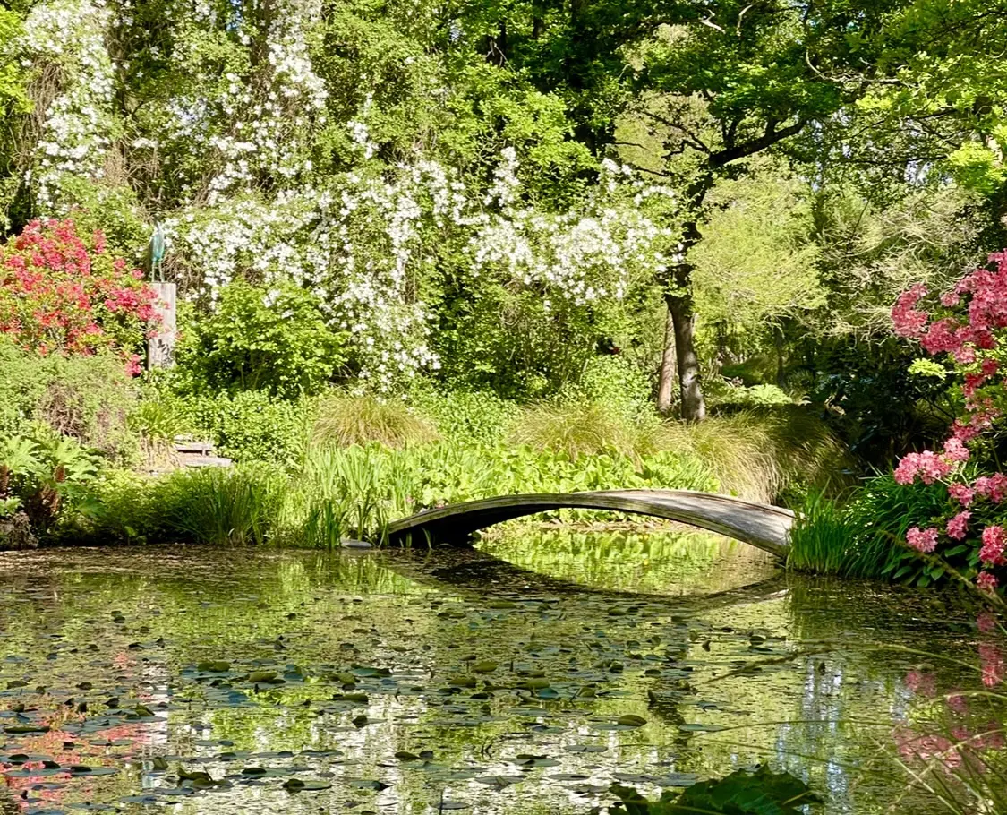 A small arched footbridge over a still lily pond